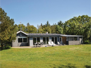 Holiday home Bakkedraget Blåvand IX